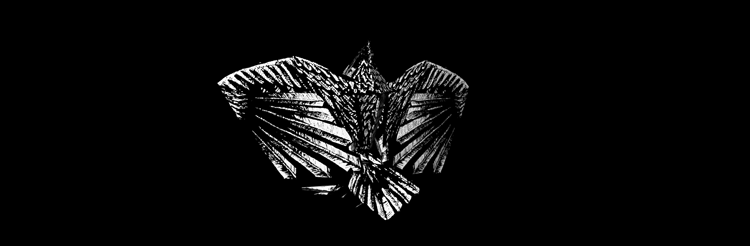 animation of raven crow turning and spreadin wings inktober gif